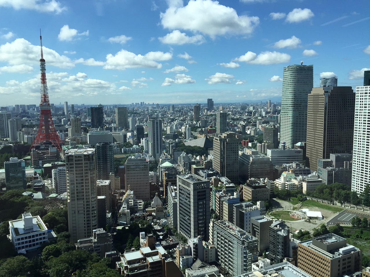 2025年1月 第529页