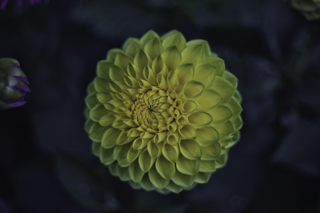 灌醉思念 第4页